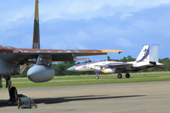 航空自衛隊70周年特別塗装