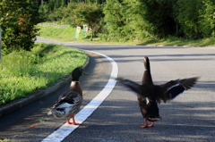 「さようなら」「・・・(T_T)」