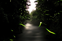 幻想
