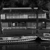 柳川の夜