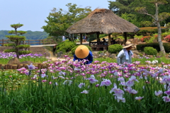 しょうぶ苑
