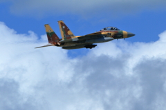 アグレッサーⅡ