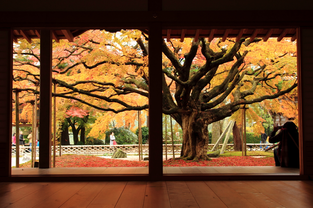 雷山千如寺大悲王院