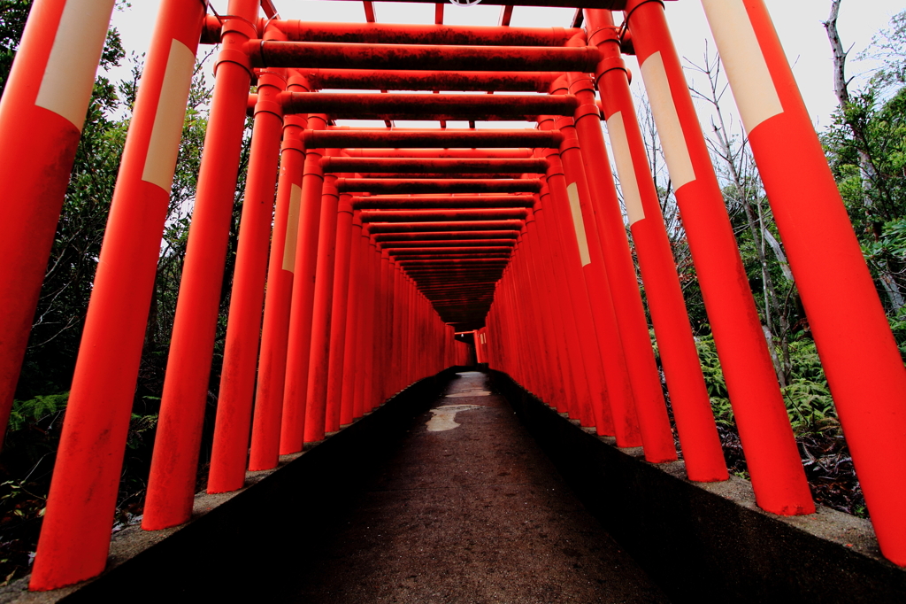 不気味な通路