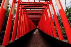 不気味な通路