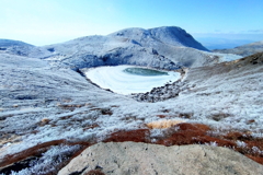 くじゅうホワイト