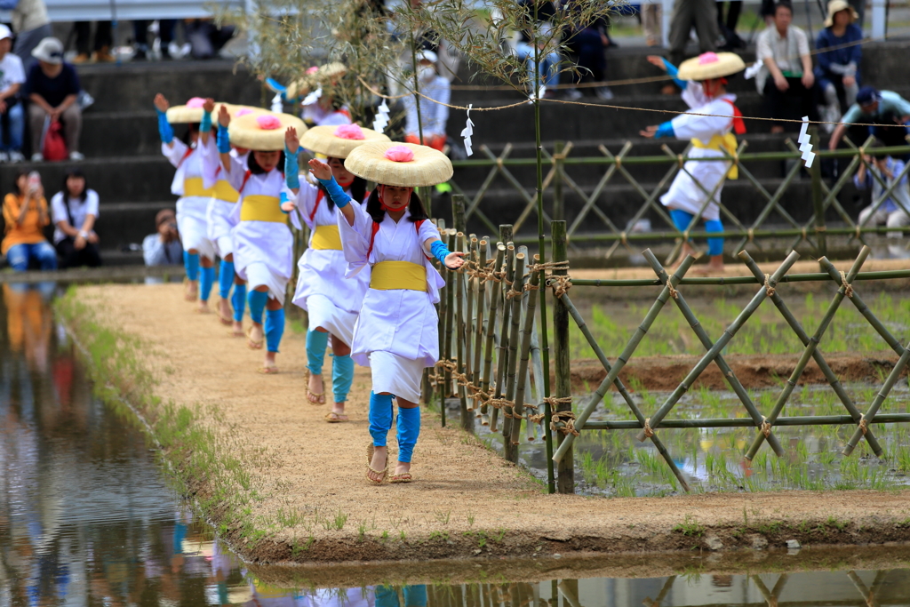 お田植祭Ⅲ