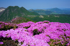ピンクとくじゅう連山Ⅱ