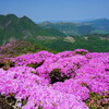 ピンクとくじゅう連山Ⅱ