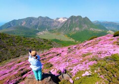 ピンクとくじゅう連山Ⅲ