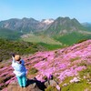 ピンクとくじゅう連山Ⅲ