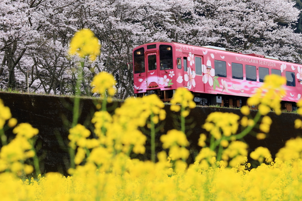 ひだまり号