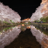 夜桜（バッテン）