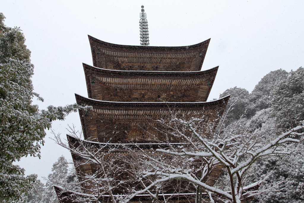 雪の瑠璃光寺・五重塔Ⅴ