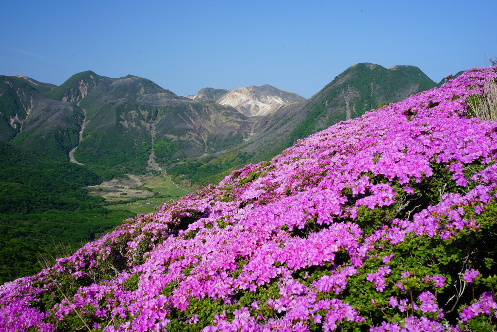 ピンクとくじゅう連山Ⅰ