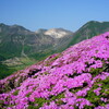 ピンクとくじゅう連山Ⅰ