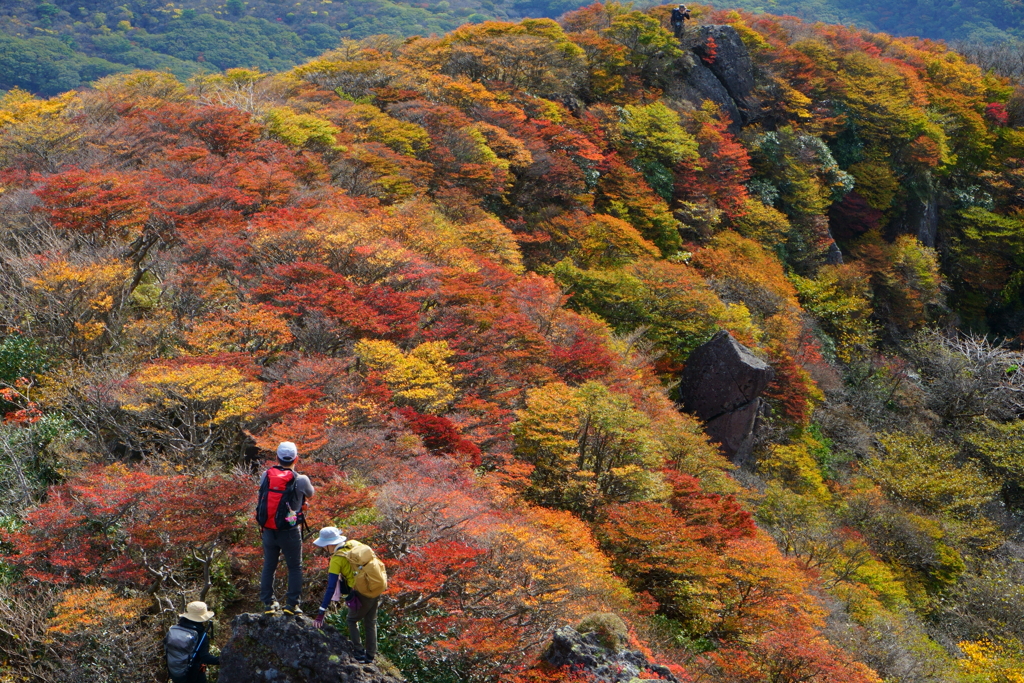 くじゅうの紅葉Ⅱ