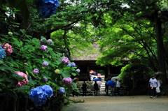 東大寺別院　周防阿弥陀寺