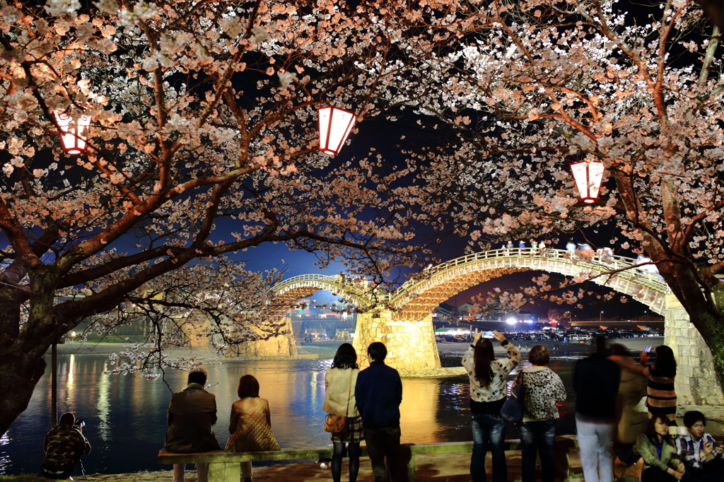 夜桜