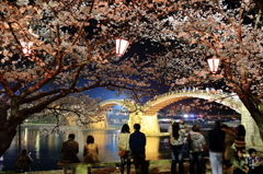 夜桜