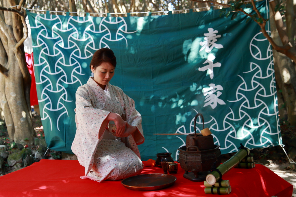 椿群生林Ⅳ（茶碗になりたい）