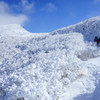 雪化粧