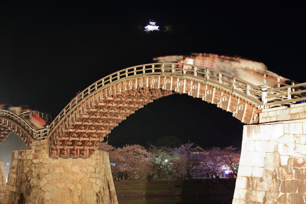 夜桜Ⅳ
