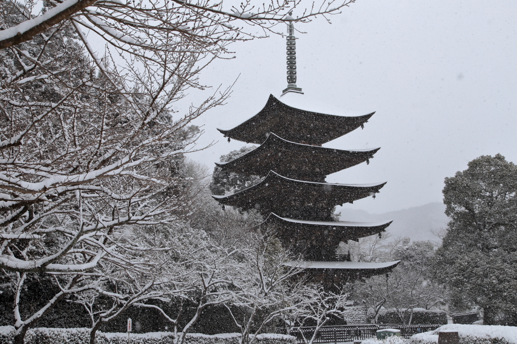 雪の瑠璃光寺・五重塔Ⅵ