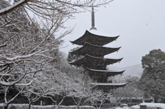 雪の瑠璃光寺・五重塔Ⅵ