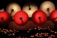 百華百彩Ⅳ