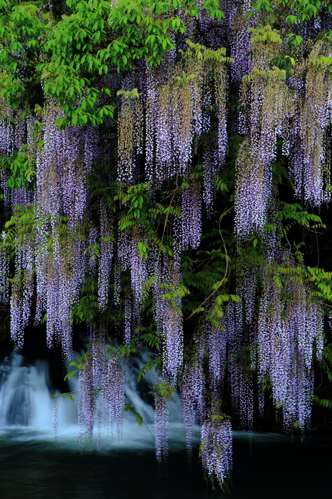 見納め