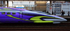 500 TYPE EVA