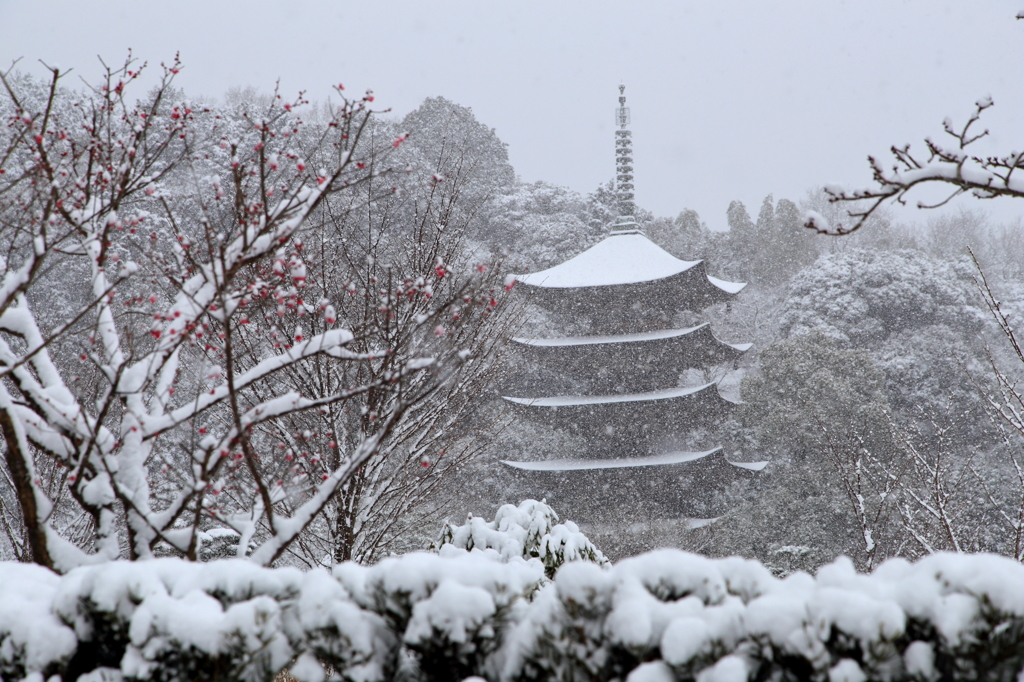雪の瑠璃光寺・五重塔Ⅳ