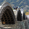 錦帯橋と桜