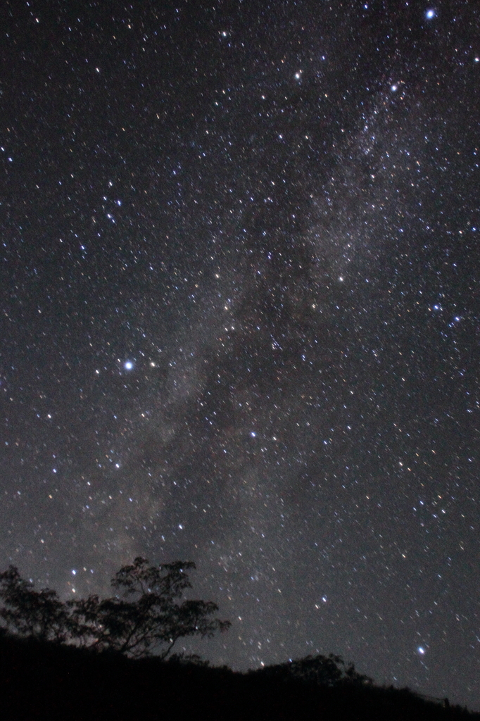 ソフトフィルター星