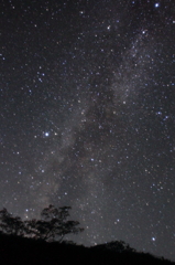 ソフトフィルター星