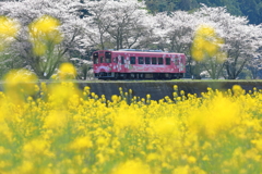 満開
