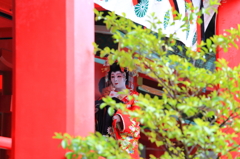 上臈参拝Ⅰ