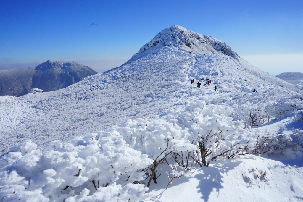 雪化粧Ⅱ