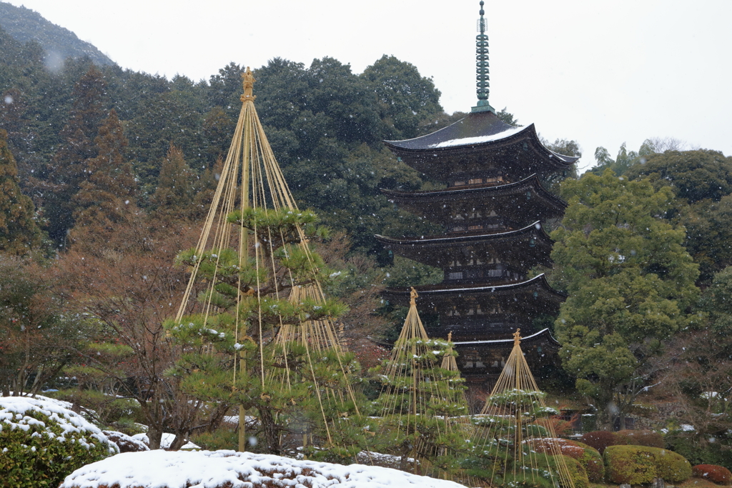 瑠璃光寺五重塔Ⅰ
