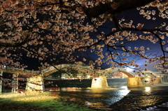 夜桜Ⅱ