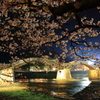 夜桜Ⅱ
