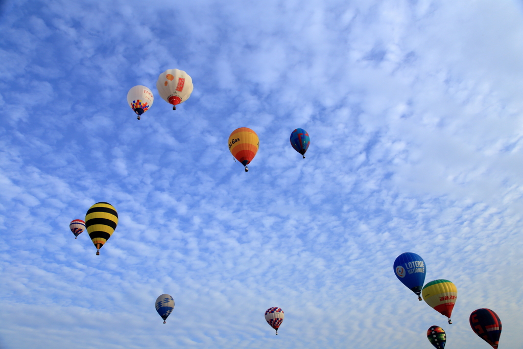 2016佐賀インターナショナルバルーンフェスタⅤ