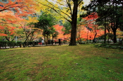 紅葉広場