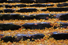 石段と紅葉