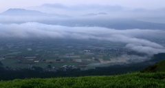 天空へ飛翔する白竜