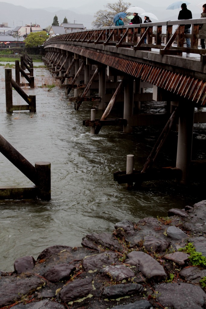 雨の渡月橋