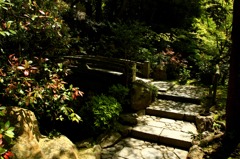 知恩院_万丈庭園