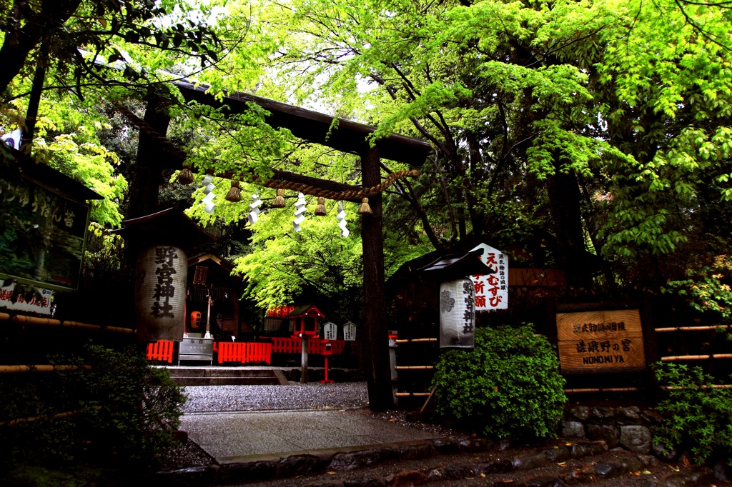 雨の野宮神社