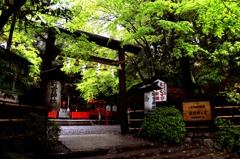 雨の野宮神社
